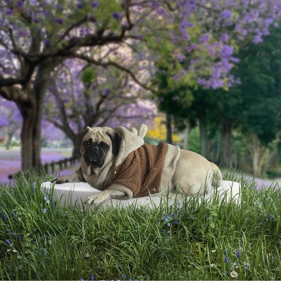 Tag list - Picture 5 of 13